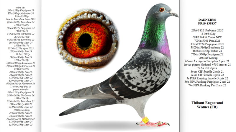 Enguerand fr 138837n