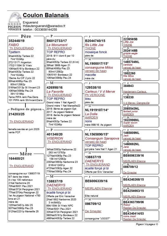 Enguerand pedigree 203 fcf