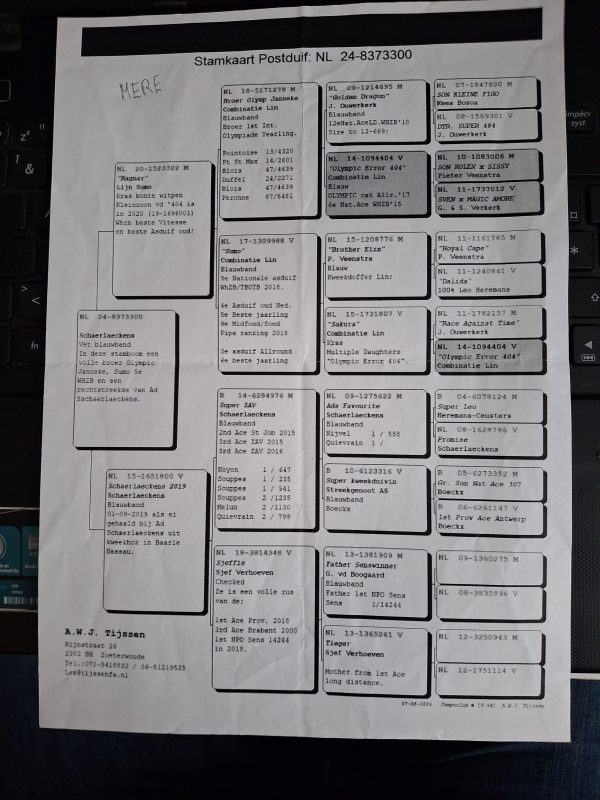 Fournez gaetan mère