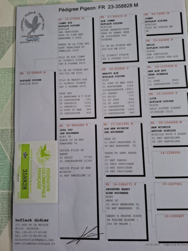 Fournez ludovic père