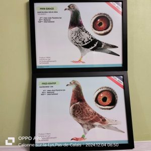 N° 28 : Jean Marc Fruleux