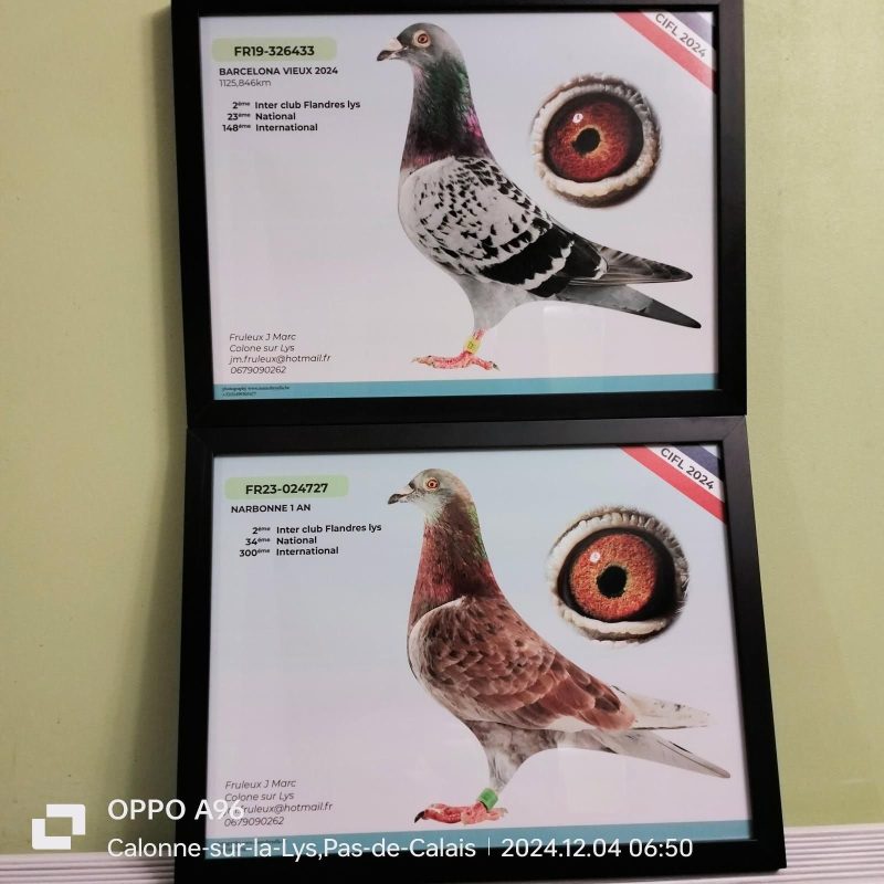 N° 28 : Jean Marc Fruleux