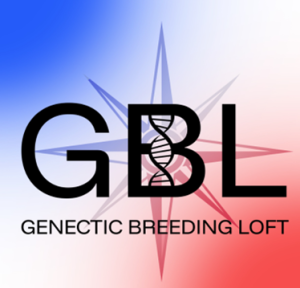 N° 63 : Team GBL (Romain Charvolin)