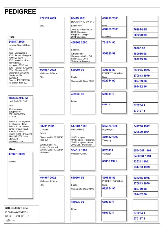 Gheeraert pedigree380595