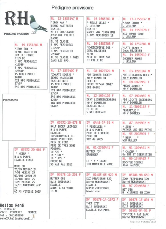 Helias jeune 2026 10 eme region pédigrée