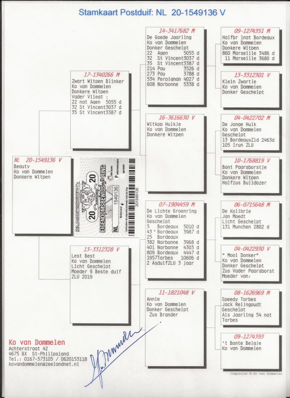 Hoffstetter mère nl 20 1549136v