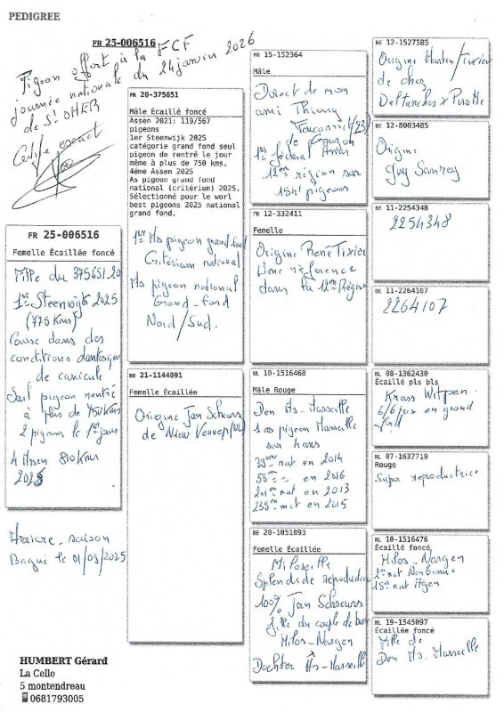 Humbert gérard pedigree fcf