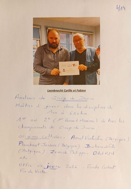 Leenknecht steenvoode