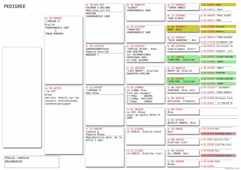 Lemoine pedigrée jeune offert