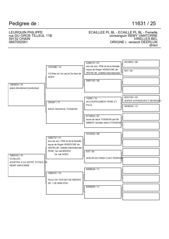 Leurquin pedigree femelle