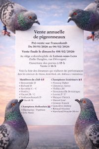 Pré-Vente : Avant-Garde de LOISON SOUS LENS