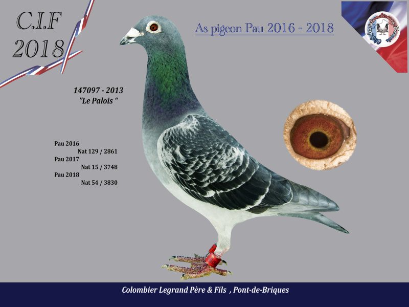 Legrand 147097 legrand 2018 5 