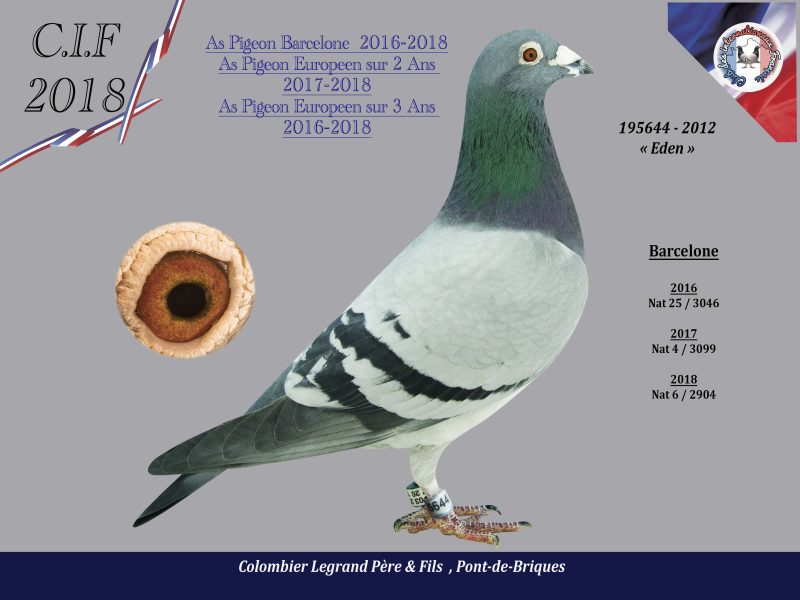 Legrand 195644 legrand 2 