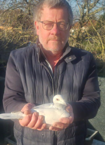 N° 44 : Marquillie Bruno 62 joueur de St Omer