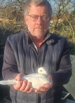 N° 44 : Marquillie Bruno 62 joueur de St Omer