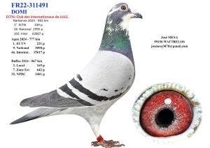 N° 35 : José MESA de WATTRELOS