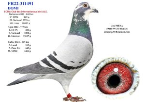 N° 11 : MESA José ( Wattrelos )