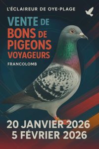 Vente de Bons : L&rsquo;ECLAIREUR de OYE-PLAGE