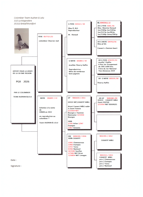 Pgx colombier team audran&lelu