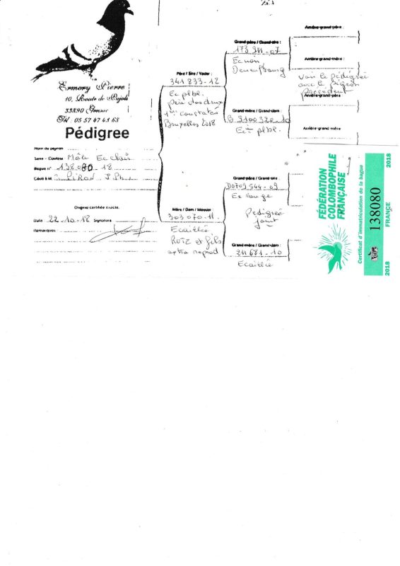 Piron pédigrées vente 1 2