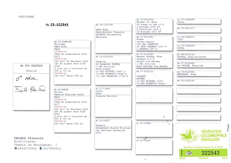 Piron pédigrées vente 2 ccip page 0001