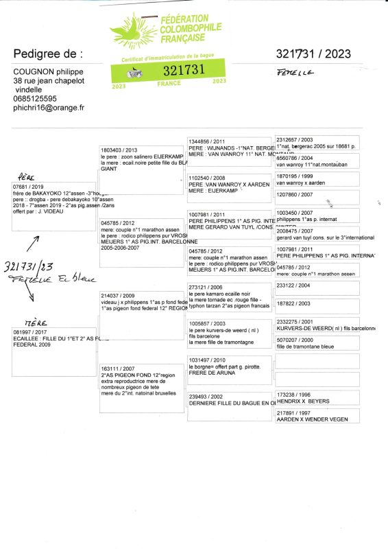 Piron pédigrées vente 2 ccip page 0002