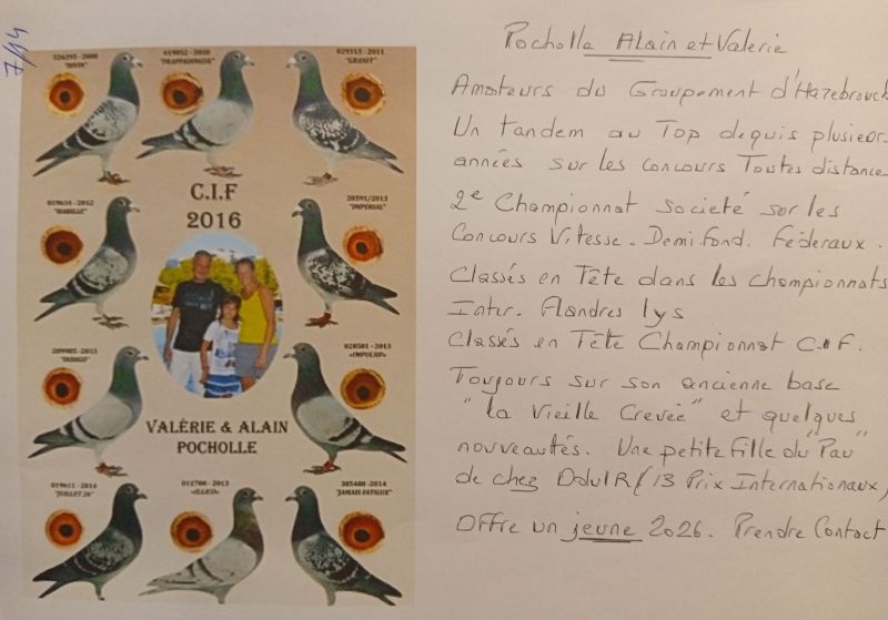 Pocholle steenvoorde