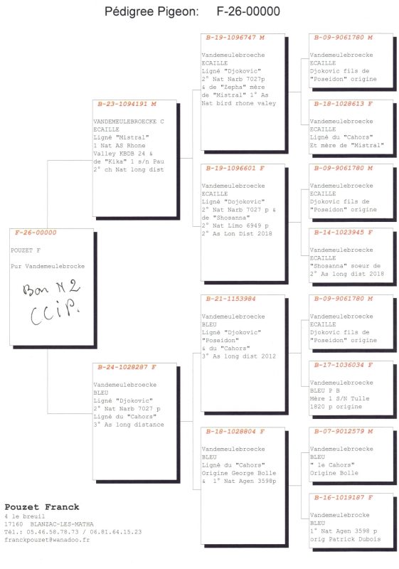 Pouzet page 0002