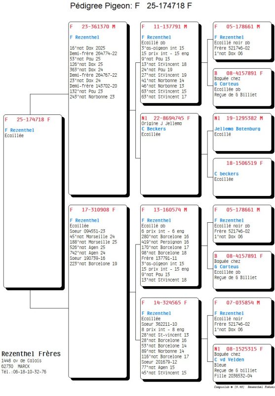 Rezenthel pedigree 25 174718 fcf
