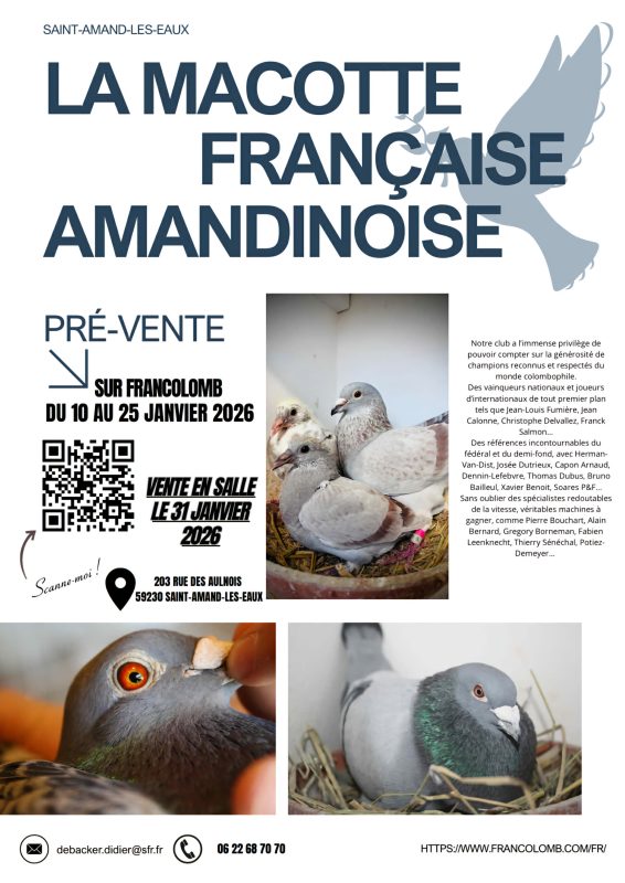 Pré-Vente : La Macotte Française Amandinoise de ST AMAND LES EAUX