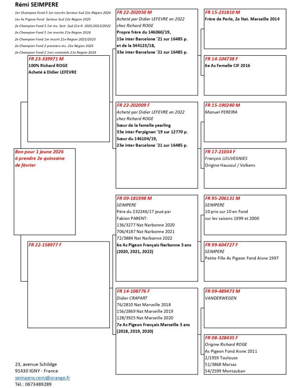 Seimpere remi fcf 2026