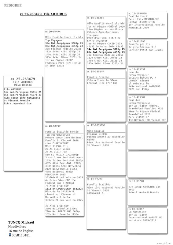 Tuncq ped 263479 fcf