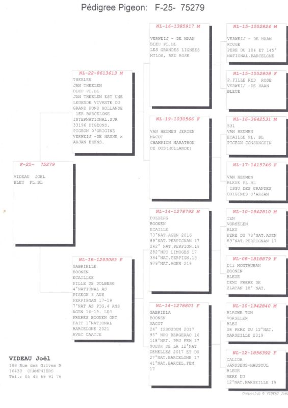 Videau pedigrée ccip 2026