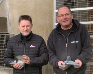 N° 51 : DUO VILLENEUVE /MABILLE des HERBIERS