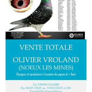 Vente : Olivier VROLAND - Partie 1