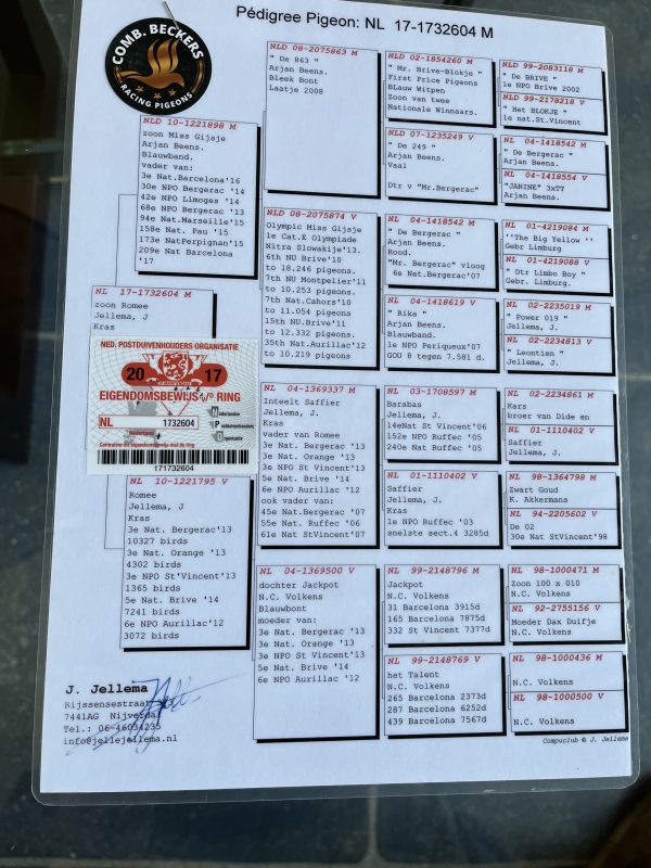 Vanhaecke joseph photo 1