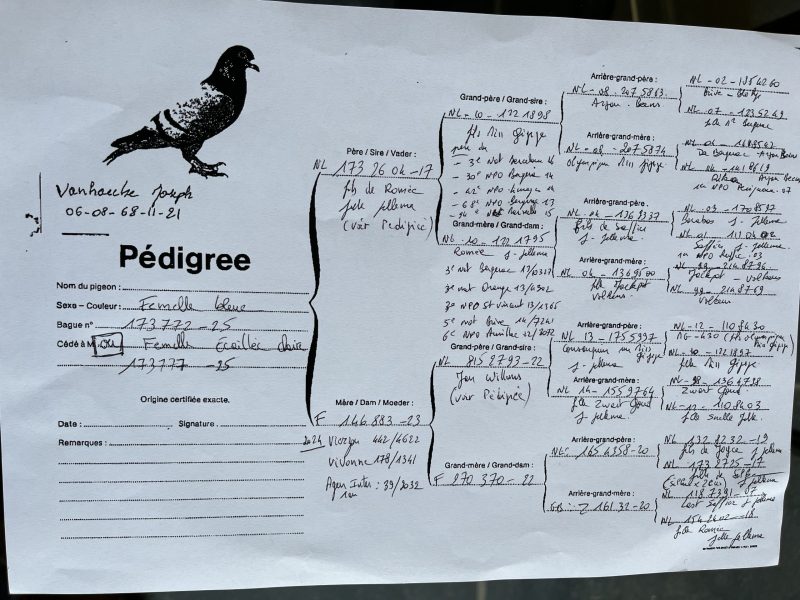 Vanhaecke joseph photo 3