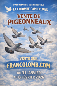 Vente de Bons : La Colombe Camierloise de CAMIERS