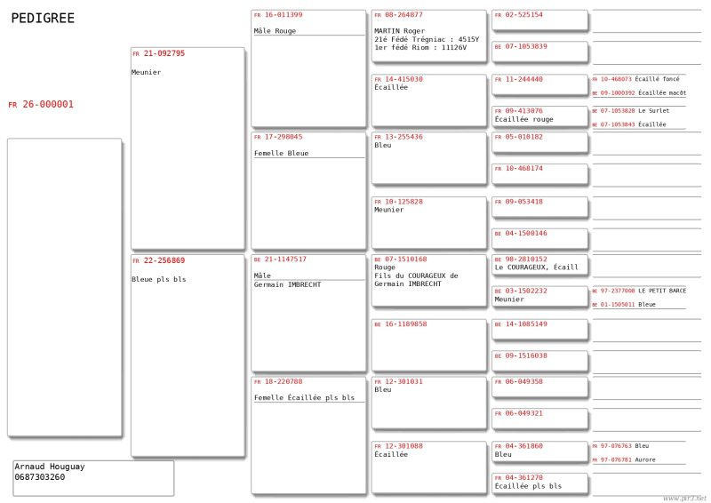 Jeune 1 10eme region page 0001