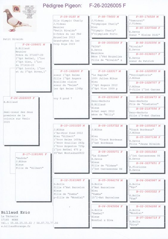 Pedigree vente ccip 2026005