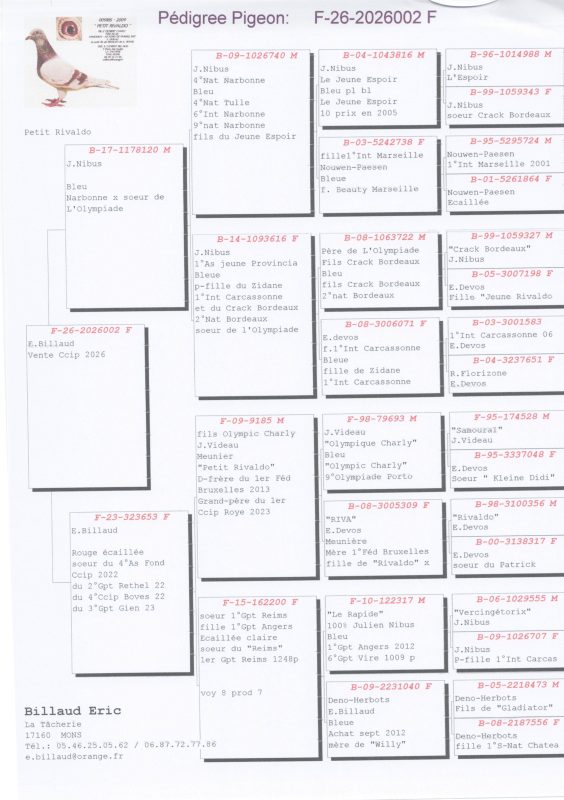 Pedigrees vente ccip 2026 000