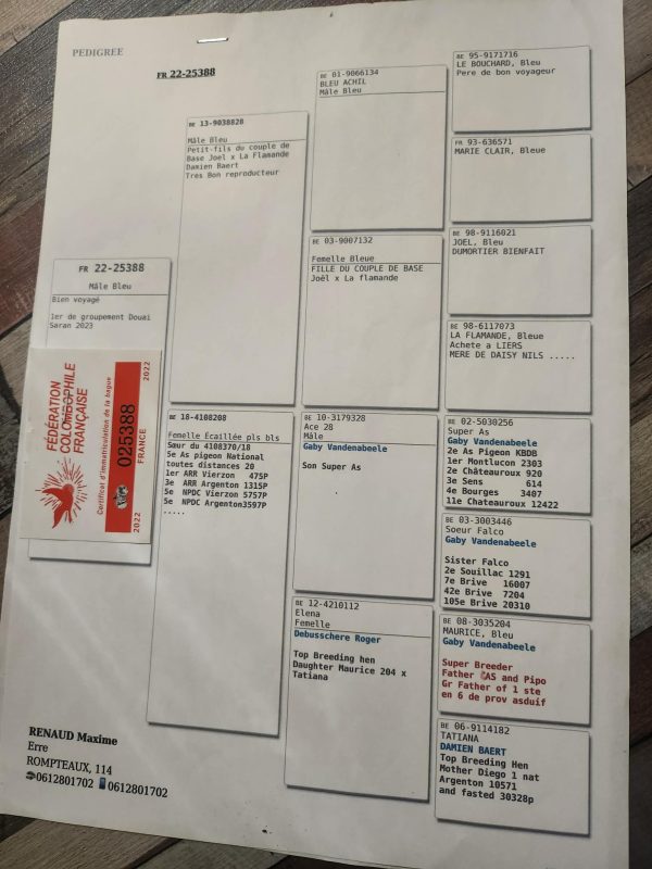 Received 1610039533457964