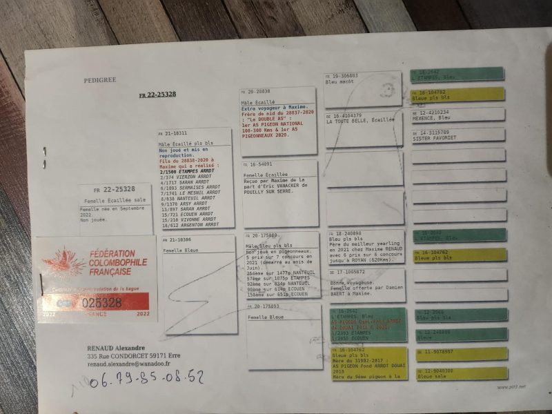 Received 2928118720714042b