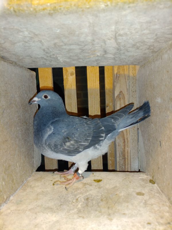 Tuncq img 20260111 193923690