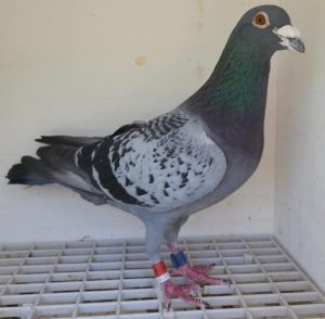 Bon n°3 : 146514-2022 M Jonathan DOS SANTOS