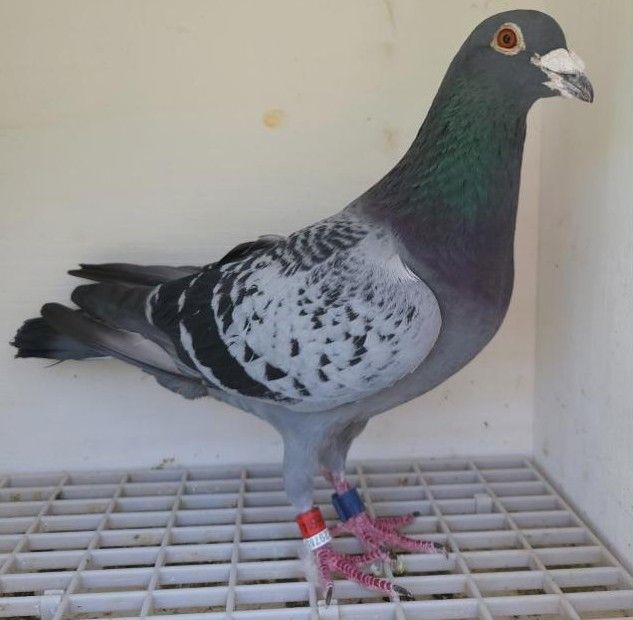 Bon n°3 : 146514-2022 M Jonathan DOS SANTOS