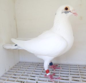 Bon n°5 : 201553-2022 M Jean-Pierre WATTIER