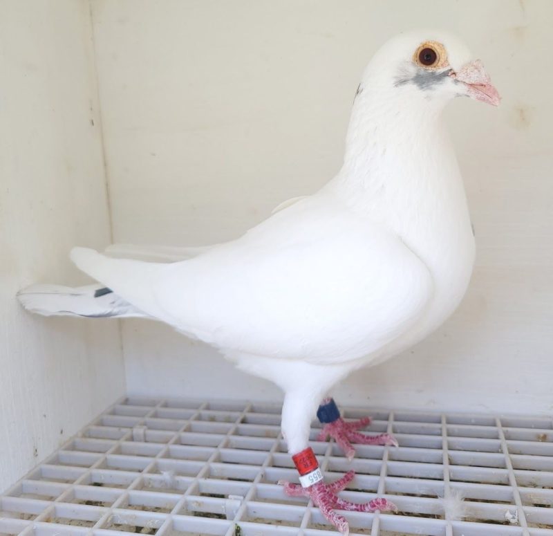 Bon n°5 : 201553-2022 M Jean-Pierre WATTIER