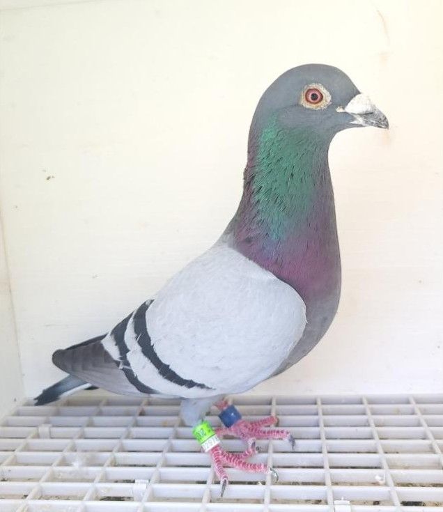 Bon n°10 : 200191-2023 M Elisabeth PATRY