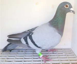 Bon n°14 : 344192-2023 M Manuel CARVALHO